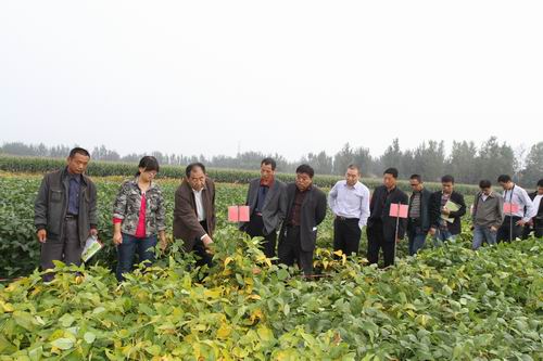陜西農(nóng)墾大華種業(yè)有限責任公司舉辦大豆新品種觀摩及技術(shù)培訓會
