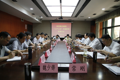 陜西糧農(nóng)集團(tuán)召開“三嚴(yán)三實(shí)”專題教育黨課會議