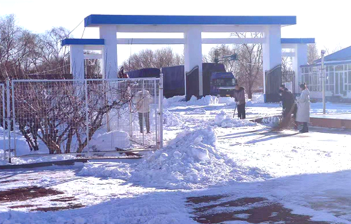 儲(chǔ)備糧管理集團(tuán)：戰(zhàn)嚴(yán)寒、清暴雪 集團(tuán)開(kāi)魯庫(kù)保秋糧入庫(kù)