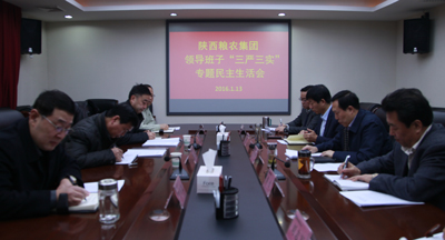 陜西糧農(nóng)集團(tuán)黨委召開“三嚴(yán)三實(shí)”專題民主生活會