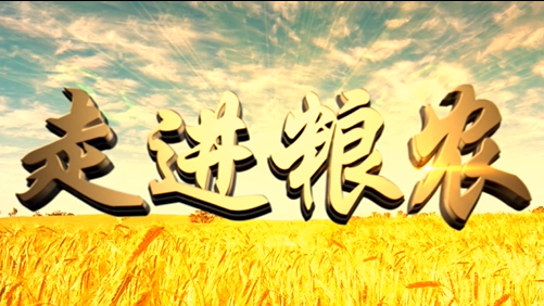 4分鐘，閱讀奮斗崛起中的糧農(nóng)集團！