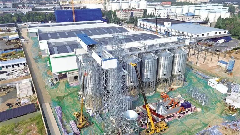 陜西省農(nóng)作物種子繁育加工基地：助力楊凌加快建設旱區(qū)“種業(yè)硅谷”